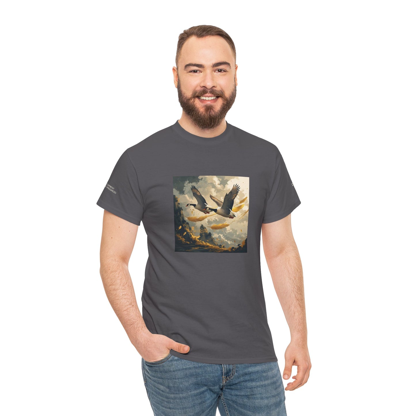 I Ching, Hexagrams T-Shirt, Development (Gradual Progress)