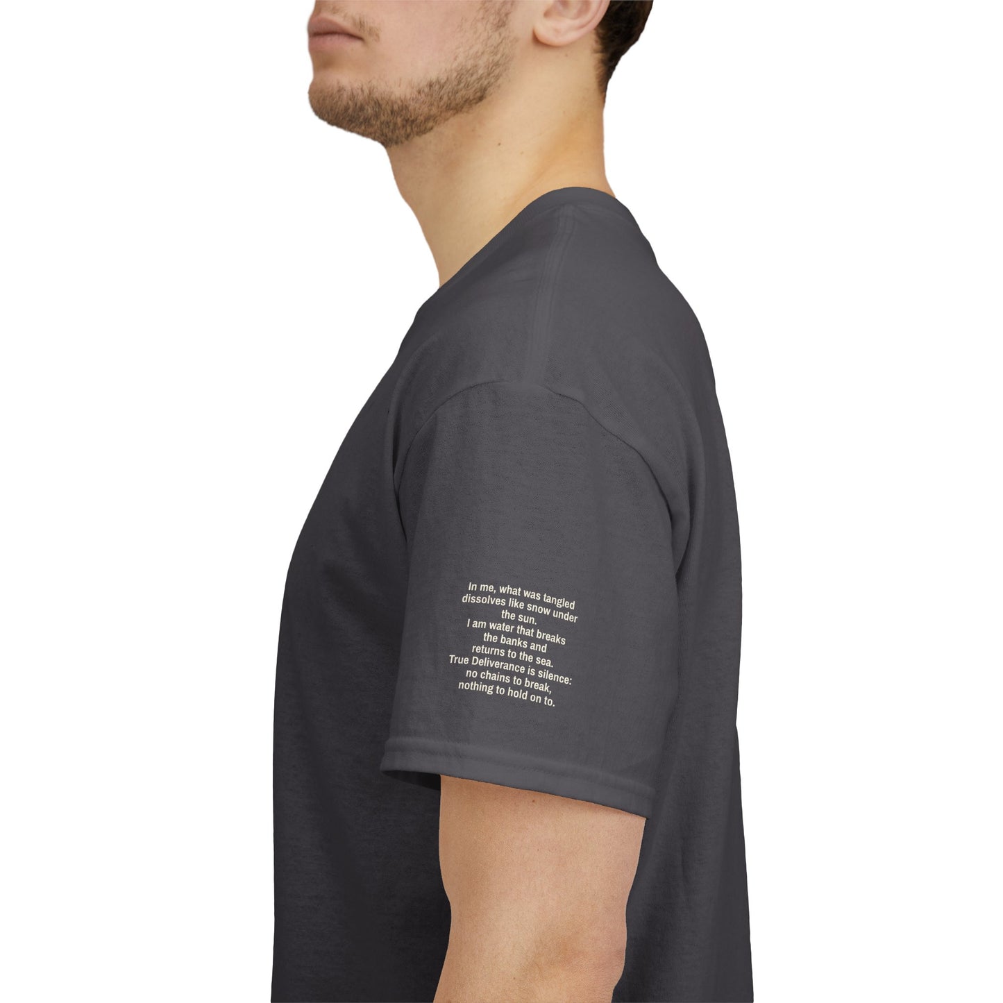I Ching, Hexagrams T-Shirt, Deliverance