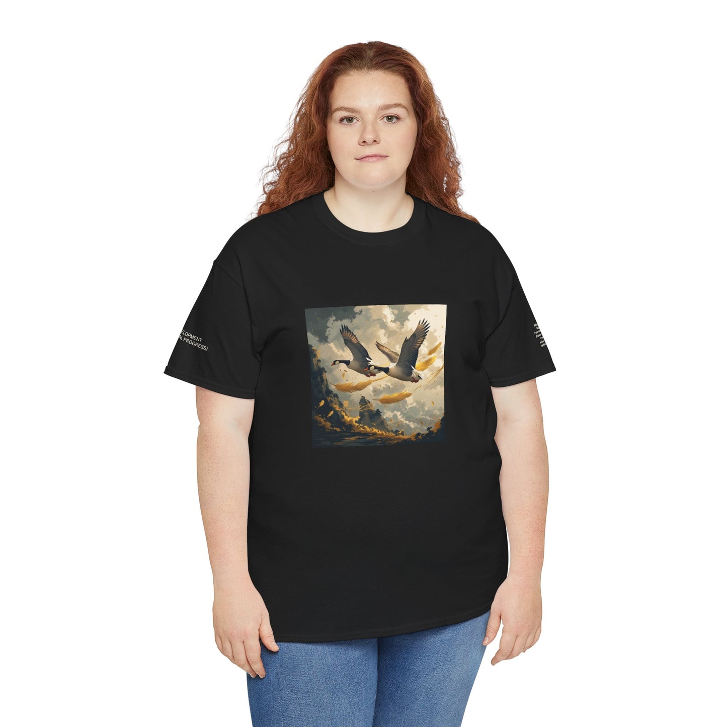 I Ching, Hexagrams T-Shirt, Development (Gradual Progress)