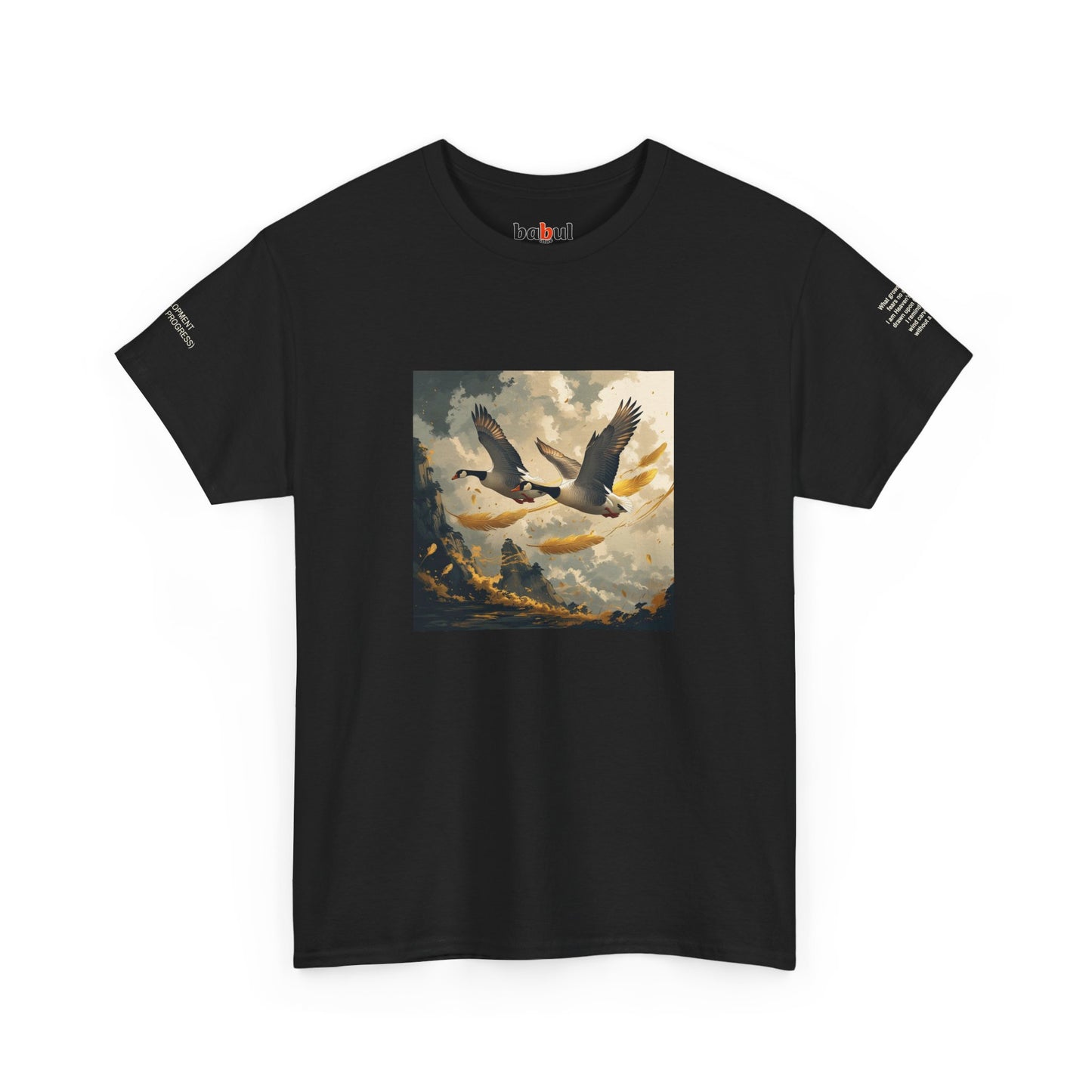I Ching, Hexagrams T-Shirt, Development (Gradual Progress)