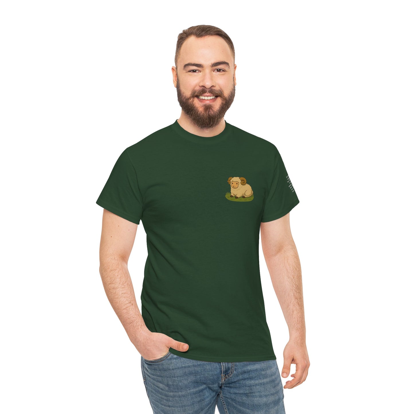 Aries - Dreamy Zodiac T-Shirts – The Magic of the Stars in Ghibli Style