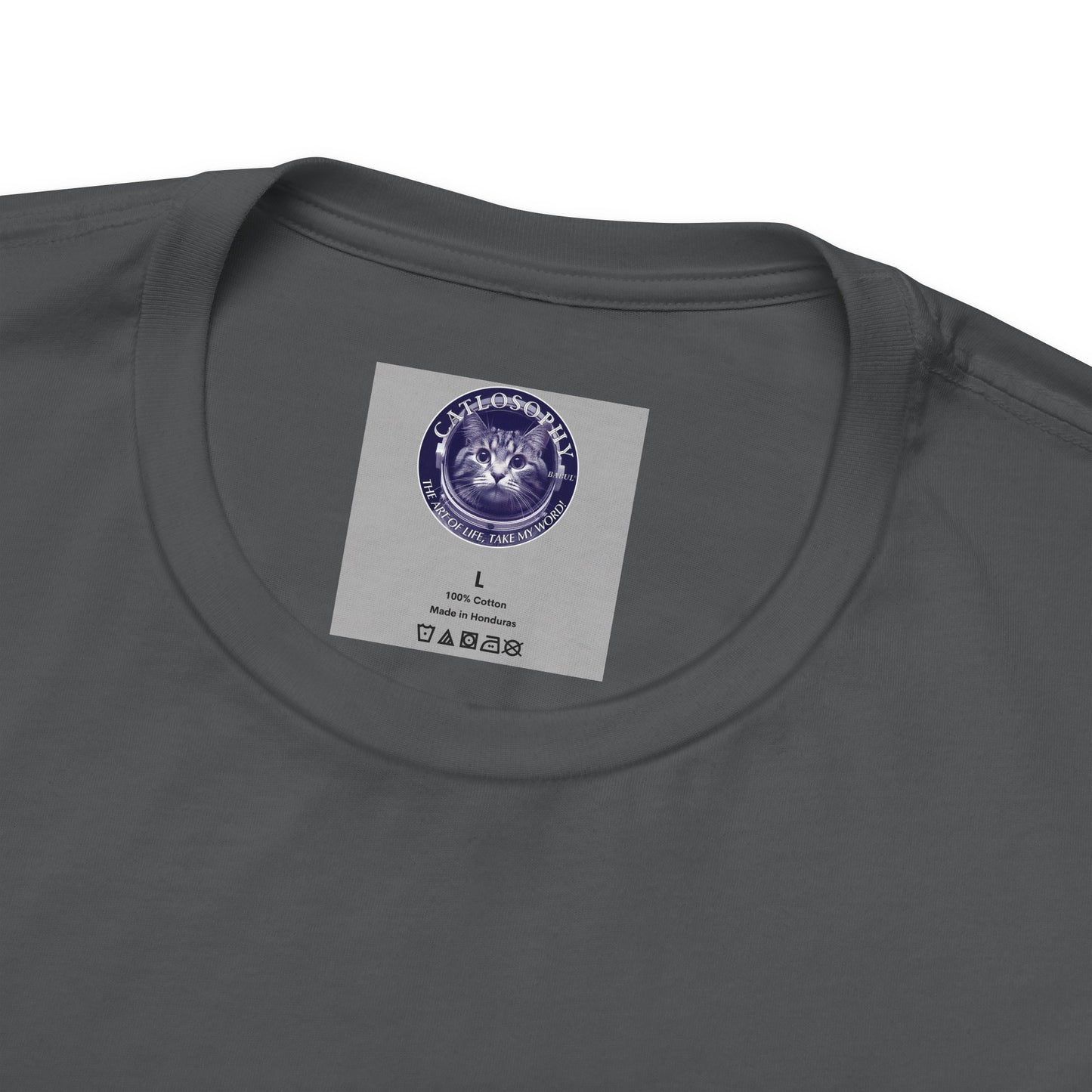 Catlosophy Unisex Jersey Short Sleeve Tee – "Be mysterious" Design