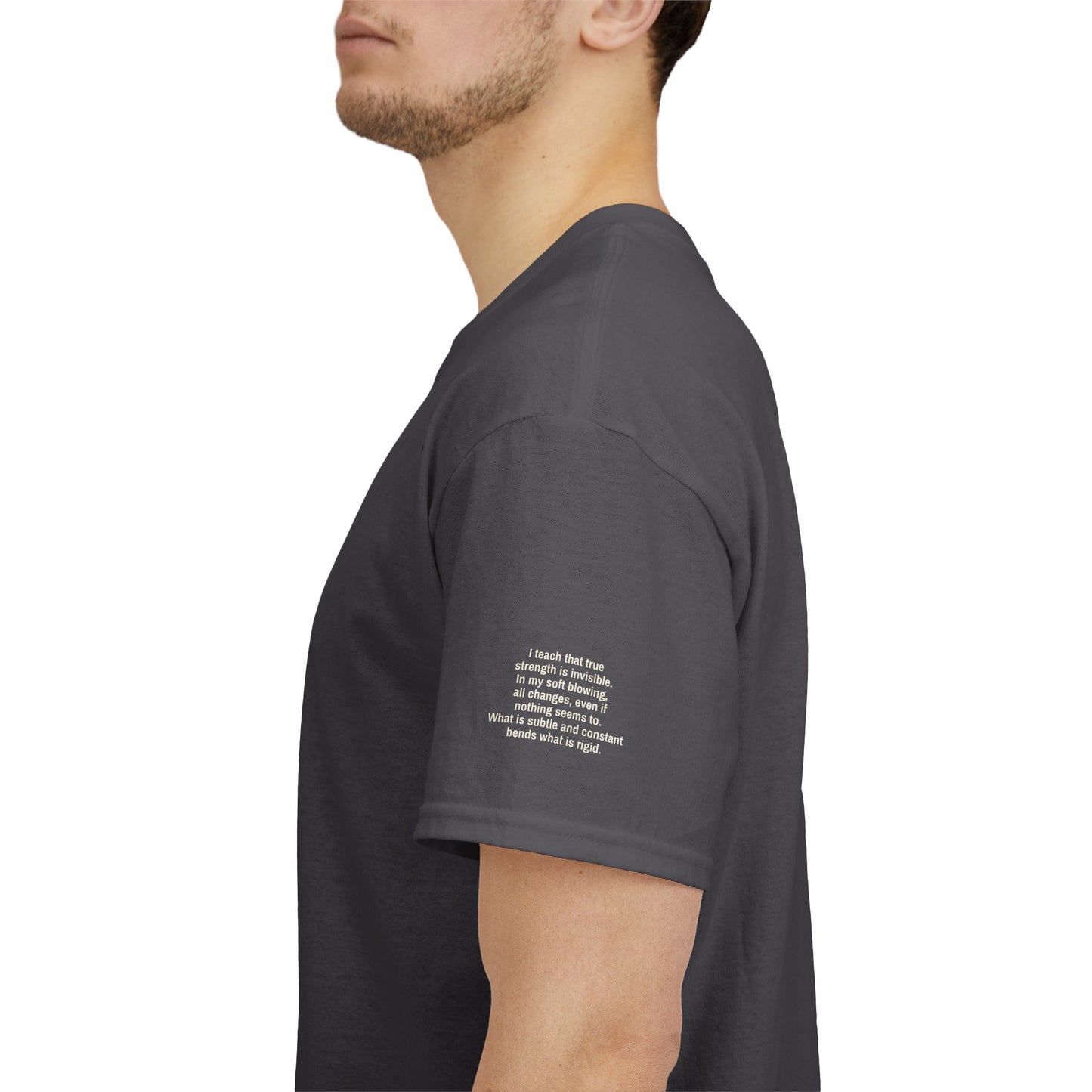 I Ching, Hexagrams T-Shirt, The Gentle (Wind)