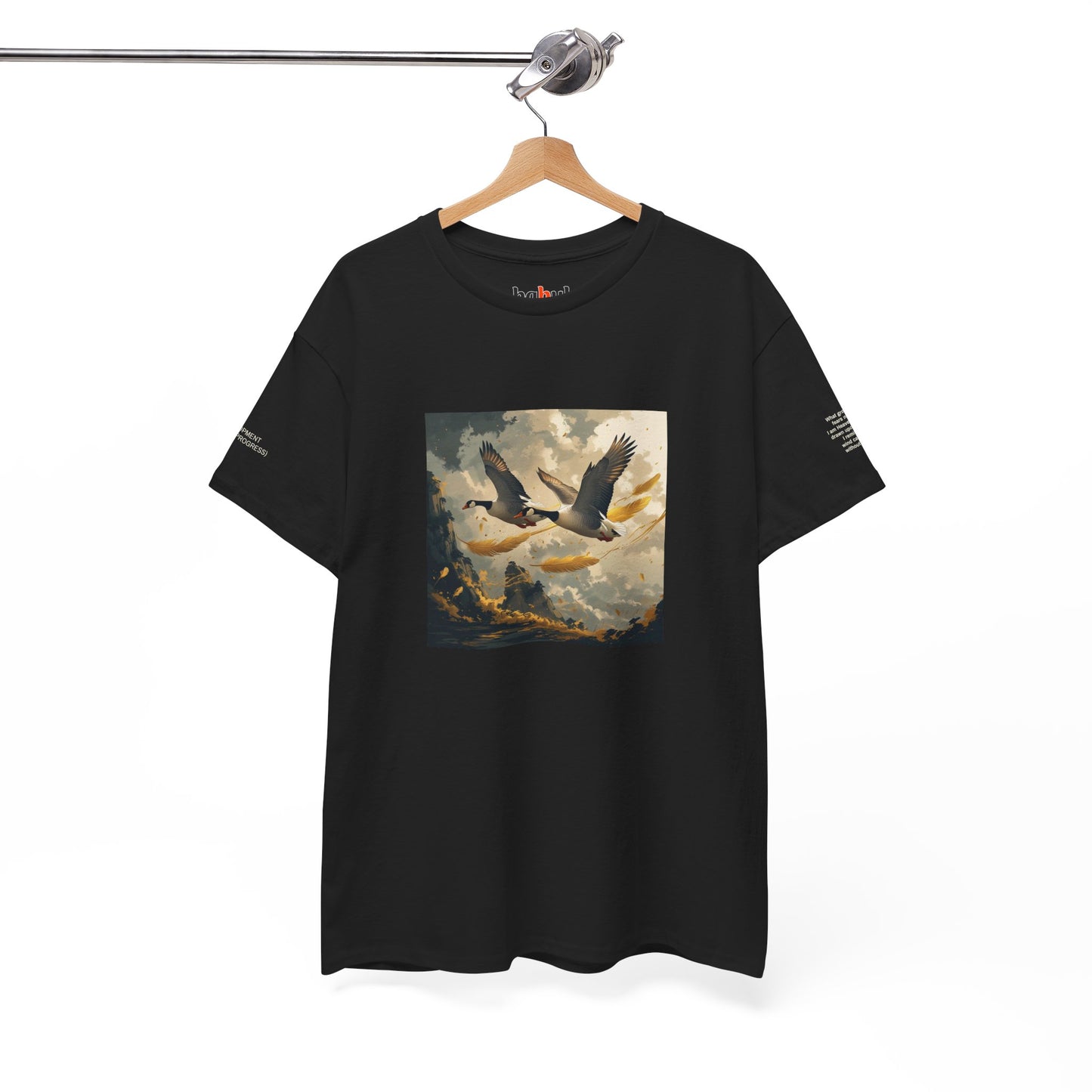 I Ching, Hexagrams T-Shirt, Development (Gradual Progress)
