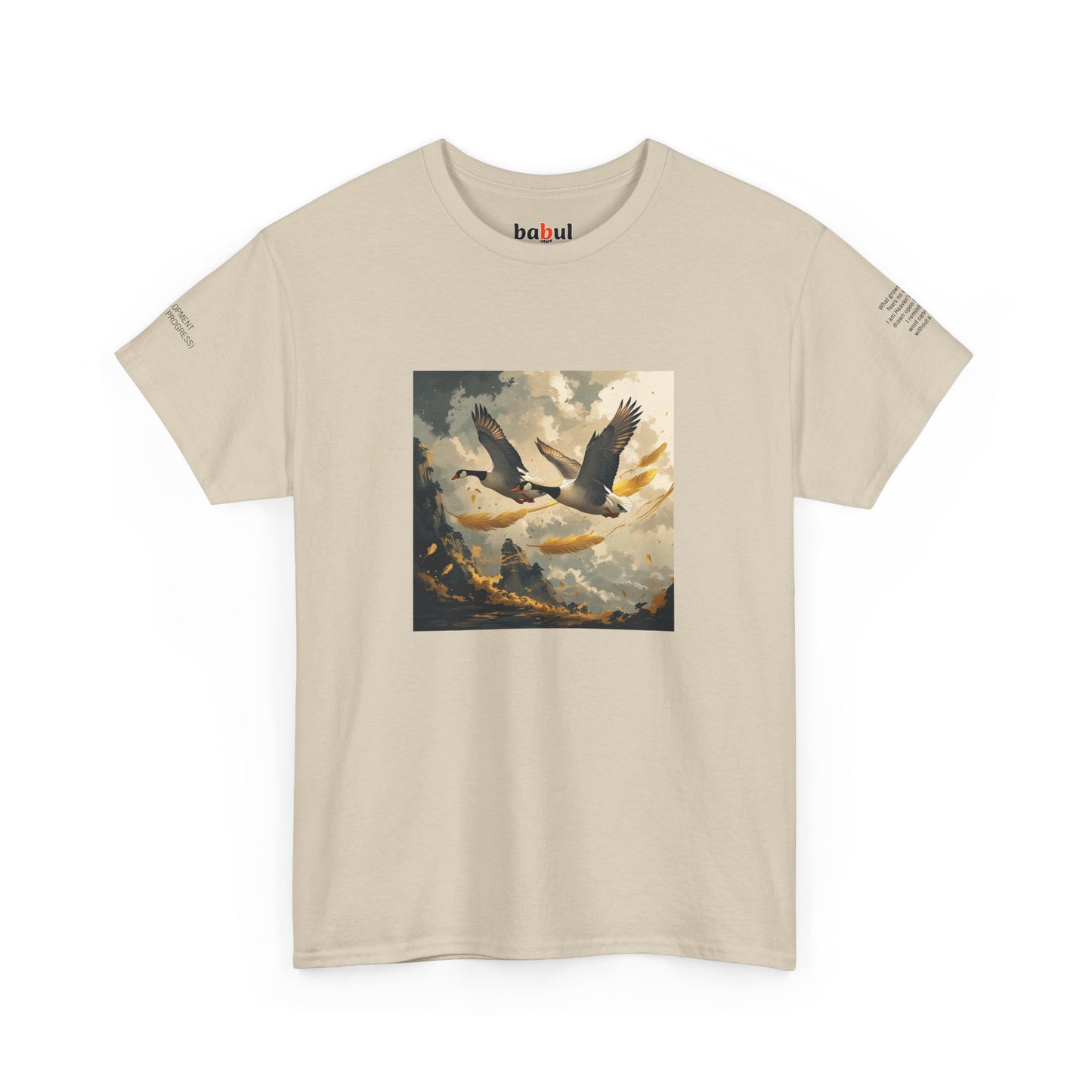 I Ching, Hexagrams T-Shirt, Development (Gradual Progress)