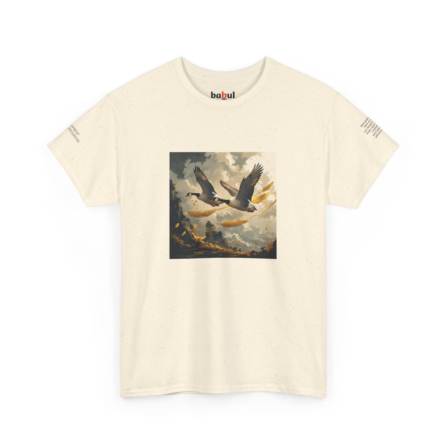 I Ching, Hexagrams T-Shirt, Development (Gradual Progress)