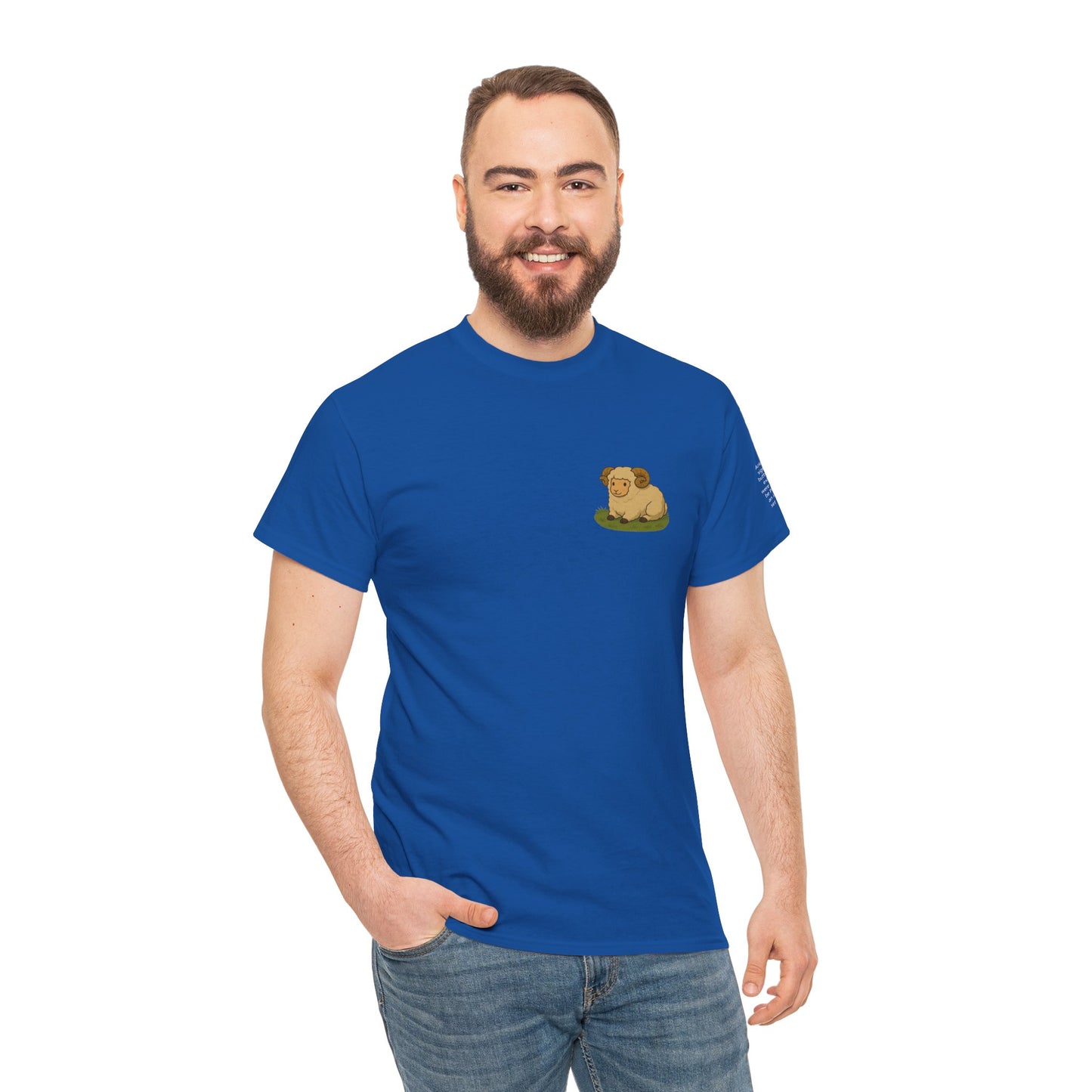 Aries - Dreamy Zodiac T-Shirts – The Magic of the Stars in Ghibli Style