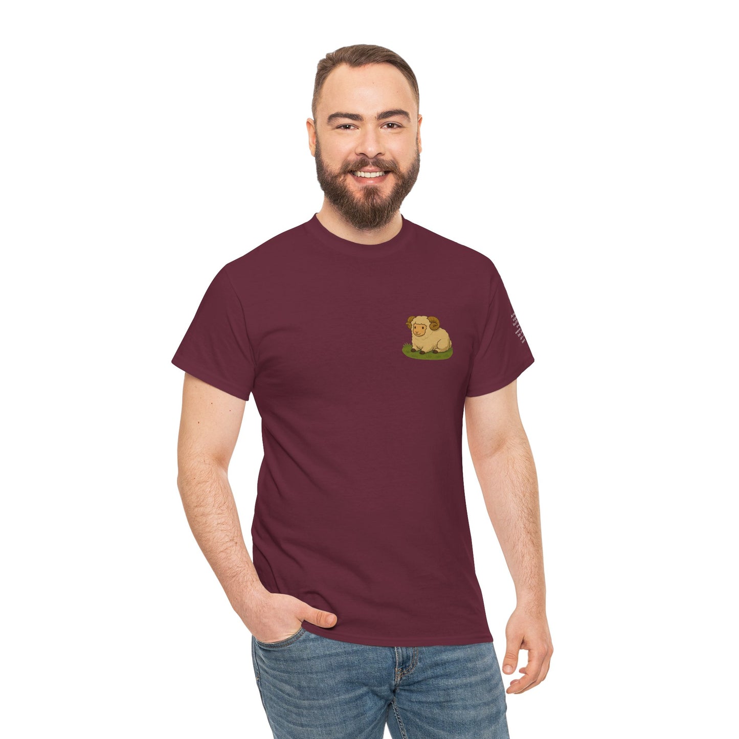 Aries - Dreamy Zodiac T-Shirts – The Magic of the Stars in Ghibli Style