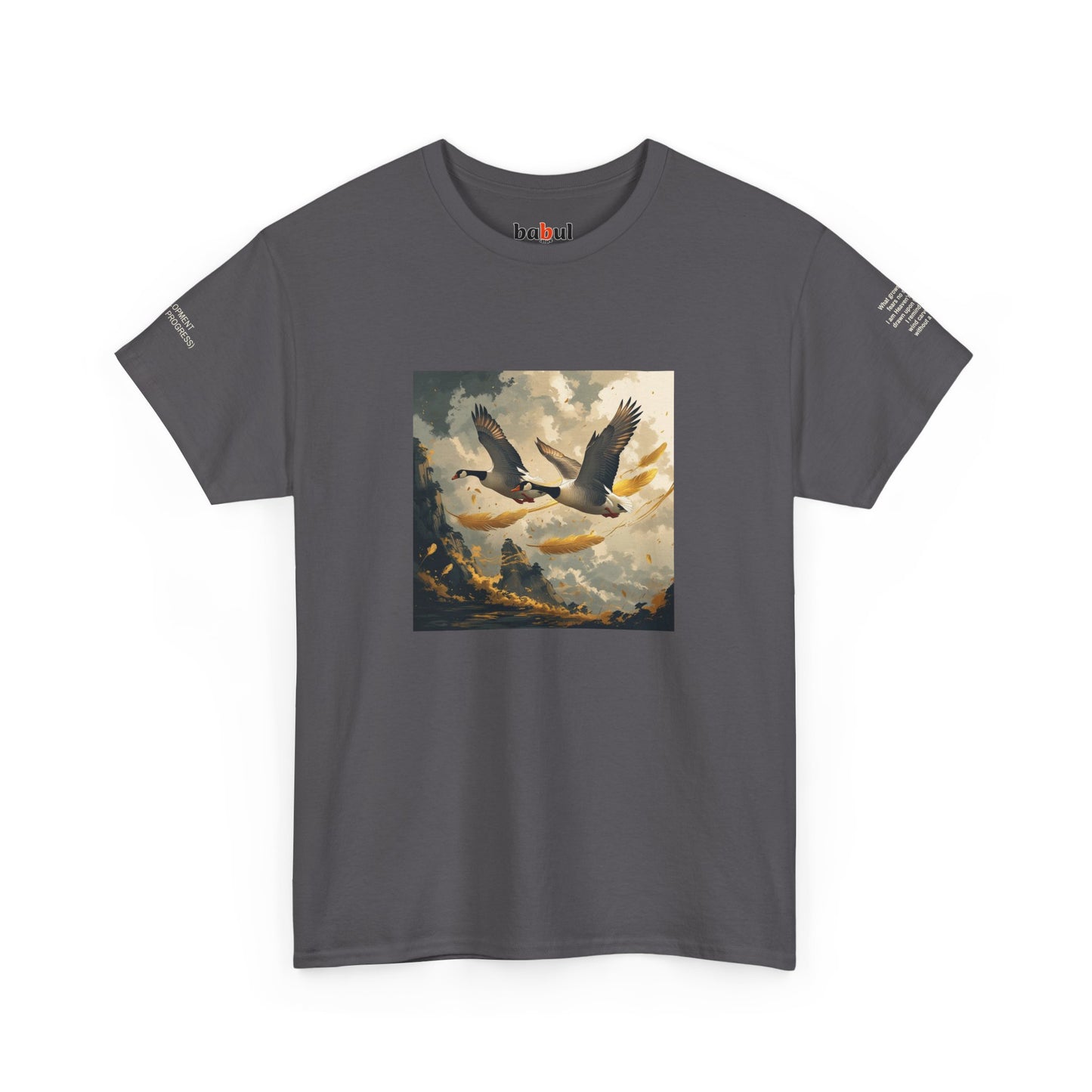 I Ching, Hexagrams T-Shirt, Development (Gradual Progress)