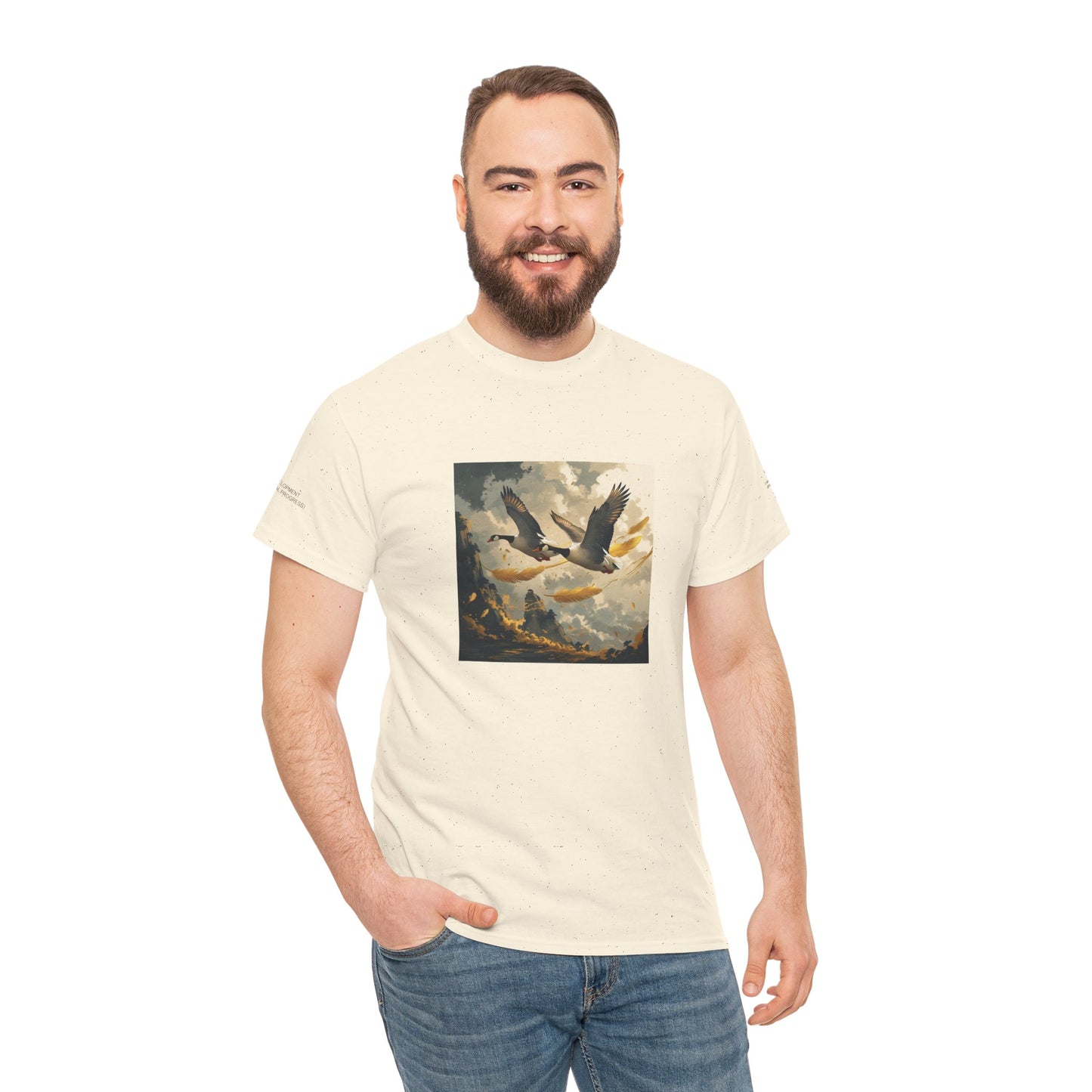 I Ching, Hexagrams T-Shirt, Development (Gradual Progress)