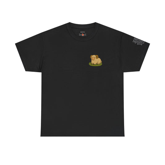 Aries - Dreamy Zodiac T-Shirts – The Magic of the Stars in Ghibli Style