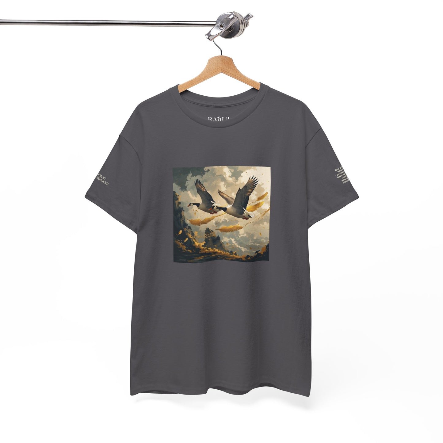 I Ching, Hexagrams T-Shirt, Development (Gradual Progress)