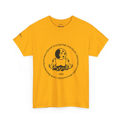 The Moon - ArcanaPop T-Shirt – Where Tarot Magic Meets Pop Art