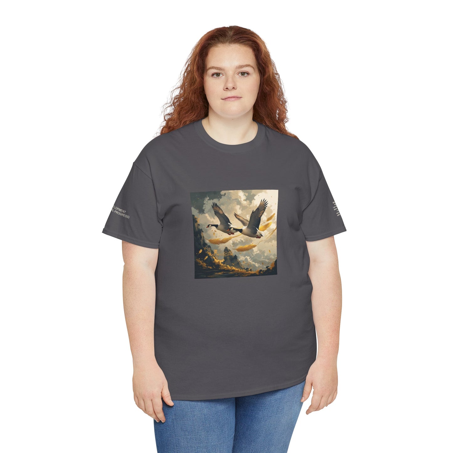 I Ching, Hexagrams T-Shirt, Development (Gradual Progress)