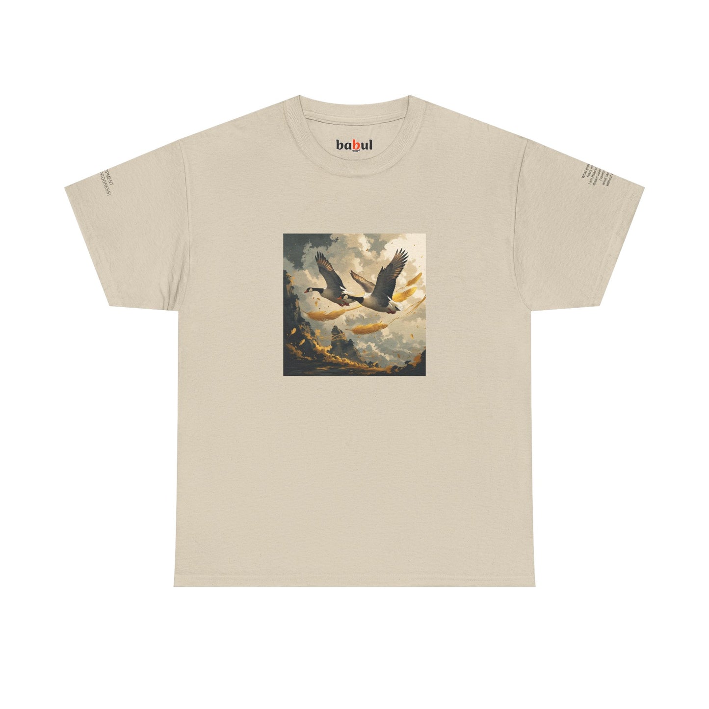 I Ching, Hexagrams T-Shirt, Development (Gradual Progress)
