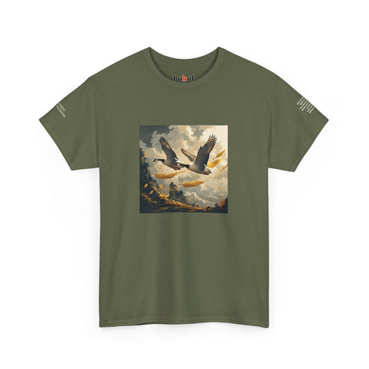 I Ching, T-shirt con gli esagrammi, Lo Sviluppo (Progresso graduale)