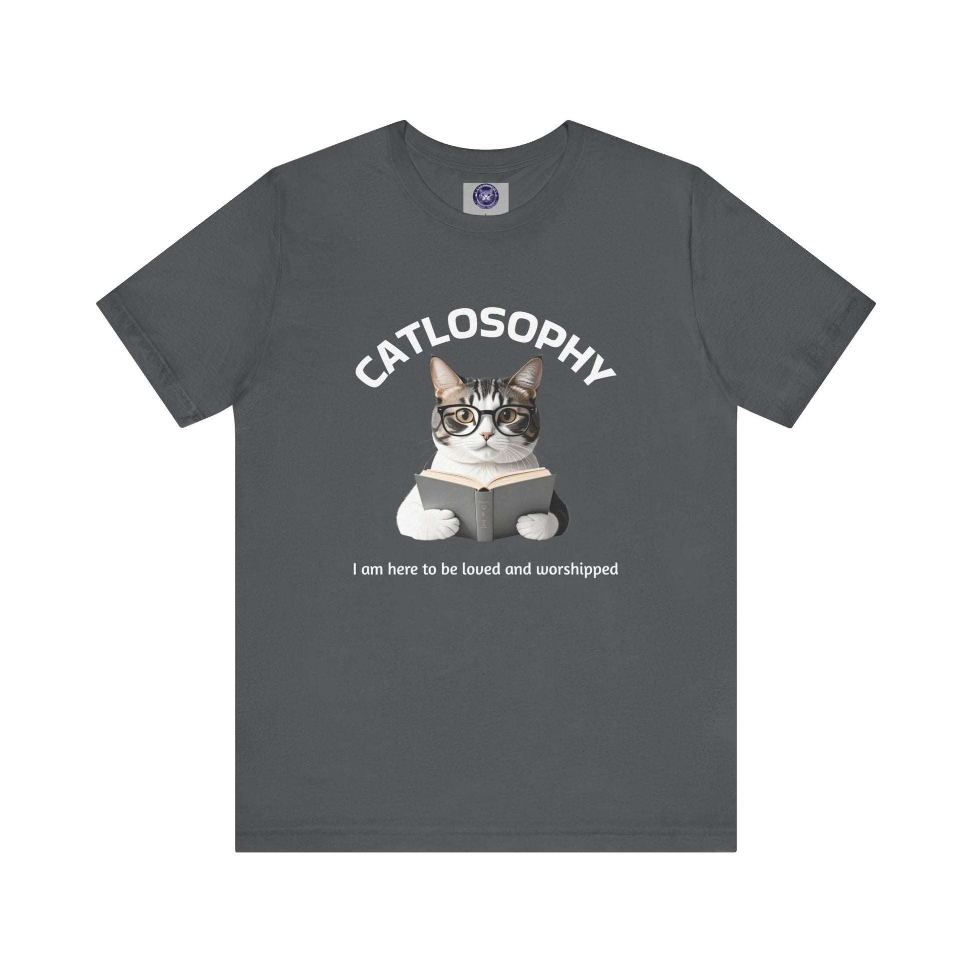 Catlosophy Unisex Jersey Short Sleeve Tee – "I am here to be loved" Design - BABUL T-Shirts
